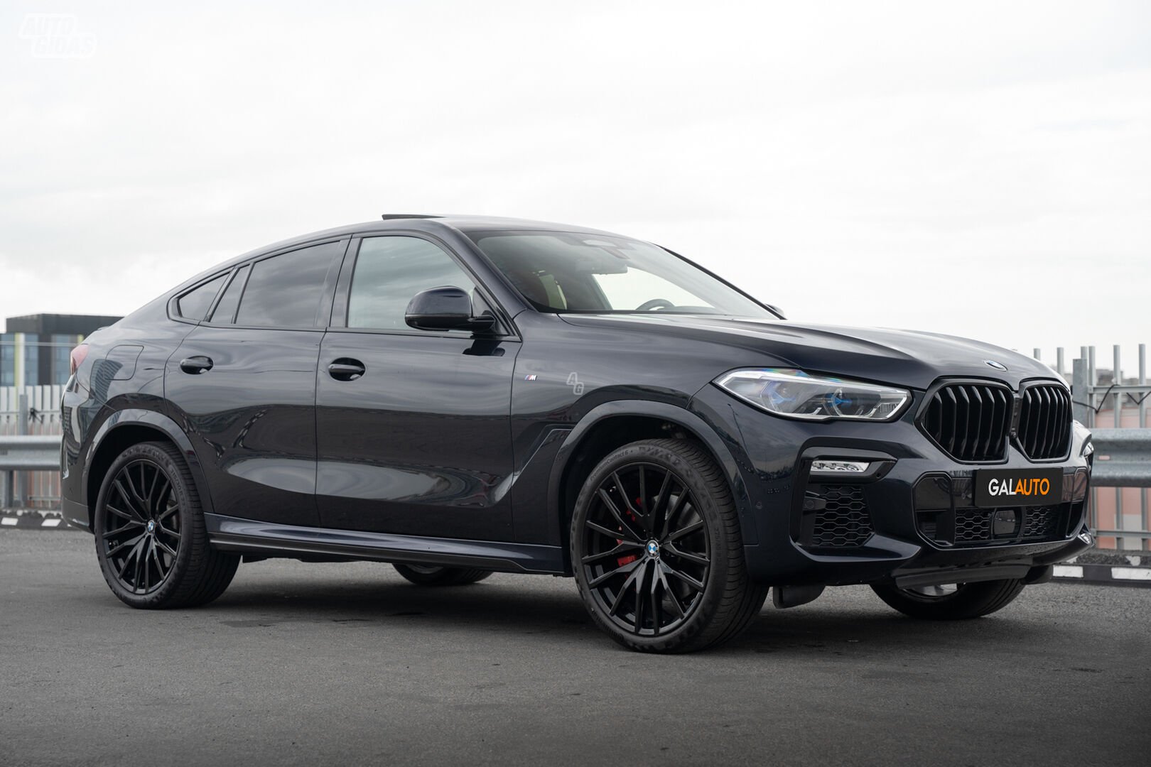 Bmw X6 2021 m Visureigis / Krosoveris