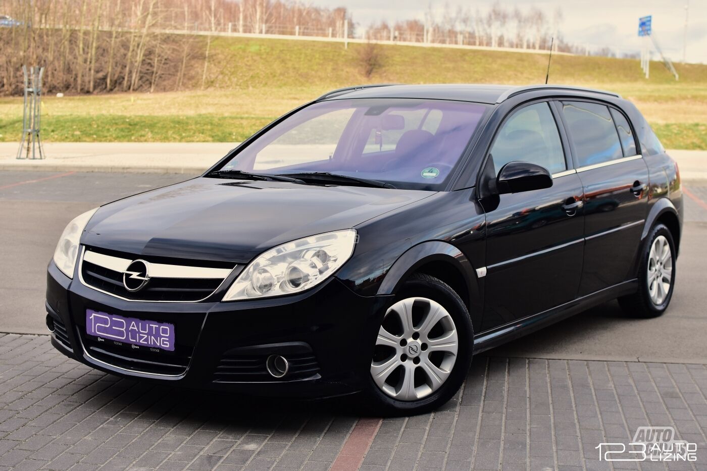 Opel Signum 2008 m Hečbekas