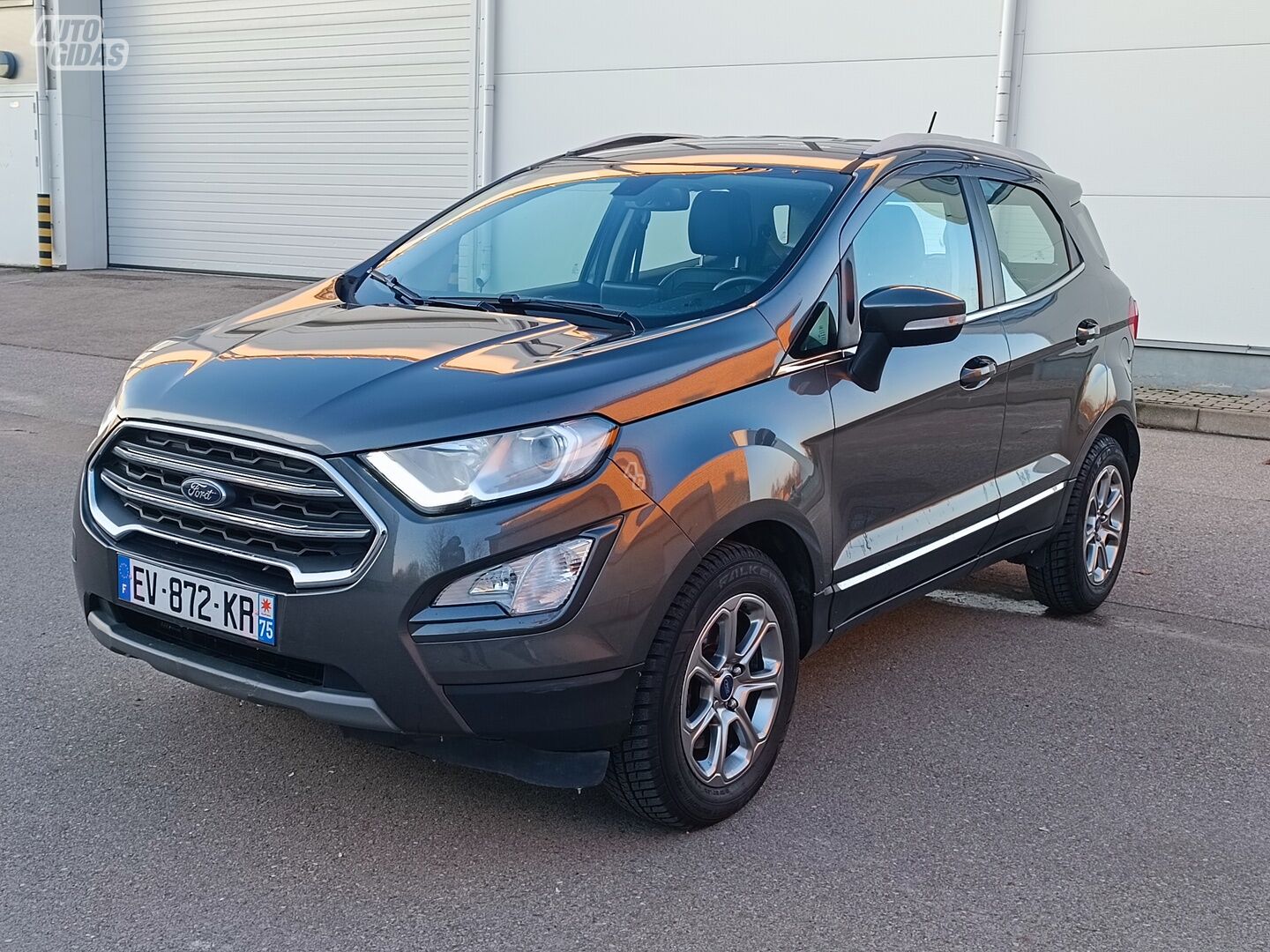 Ford EcoSport 2018 г Внедорожник / Кроссовер