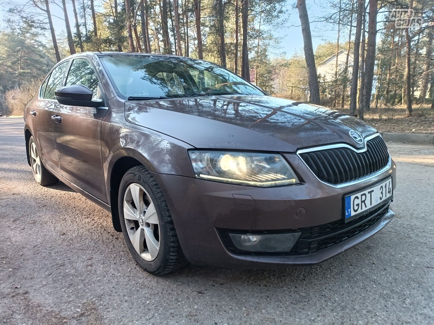 Skoda Octavia 2013 y Hatchback