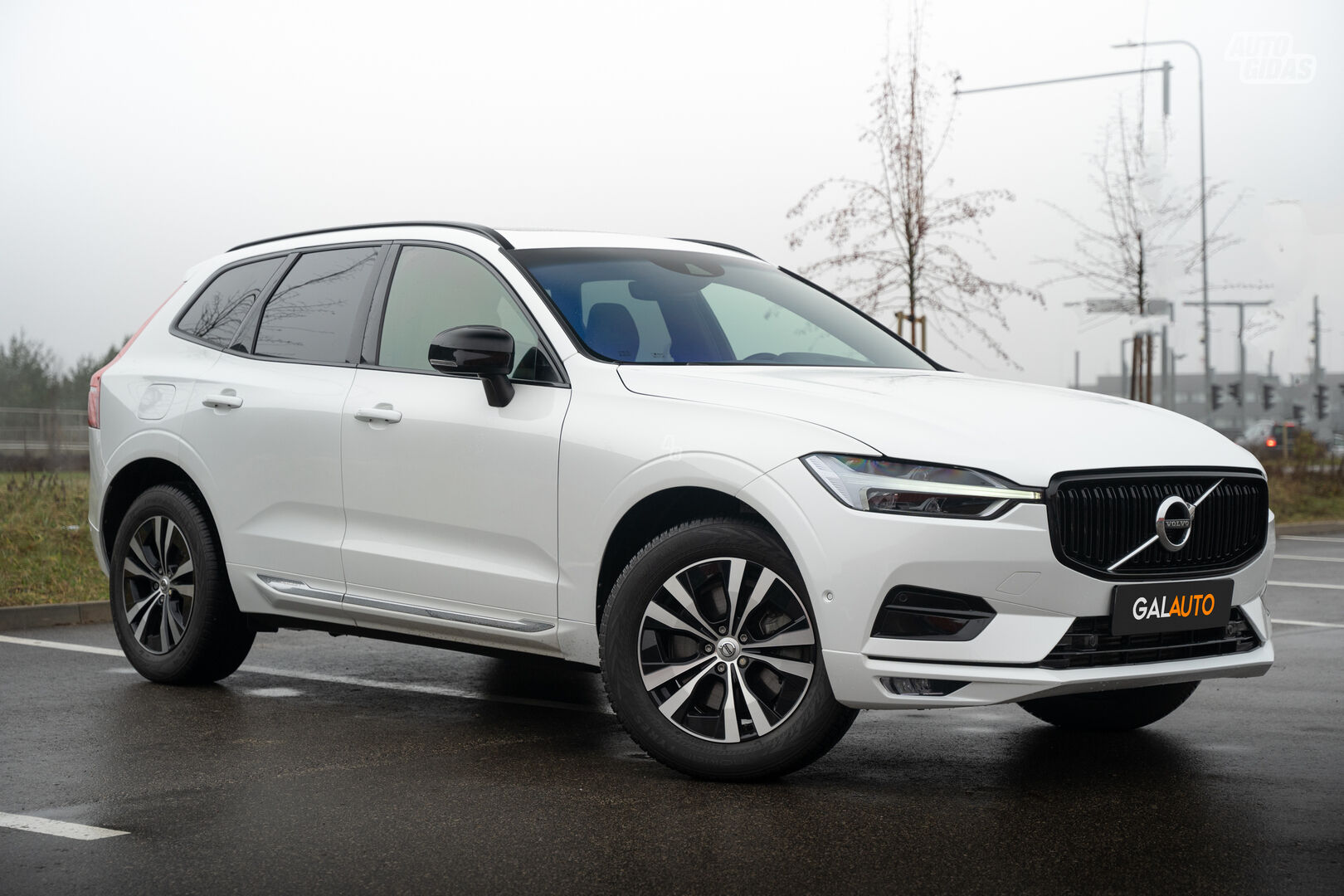 Volvo XC60 2019 m Visureigis / Krosoveris