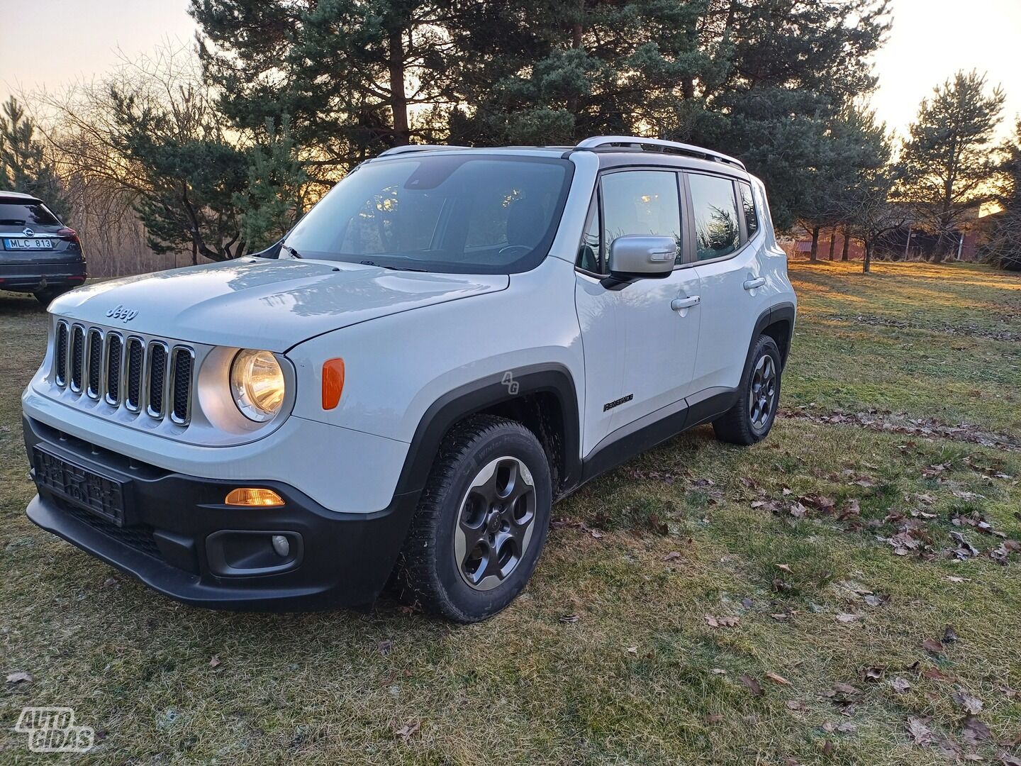 Jeep Renegade 2015 г Внедорожник / Кроссовер