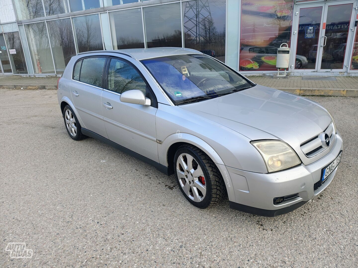 Opel Signum 2004 г Хэтчбек