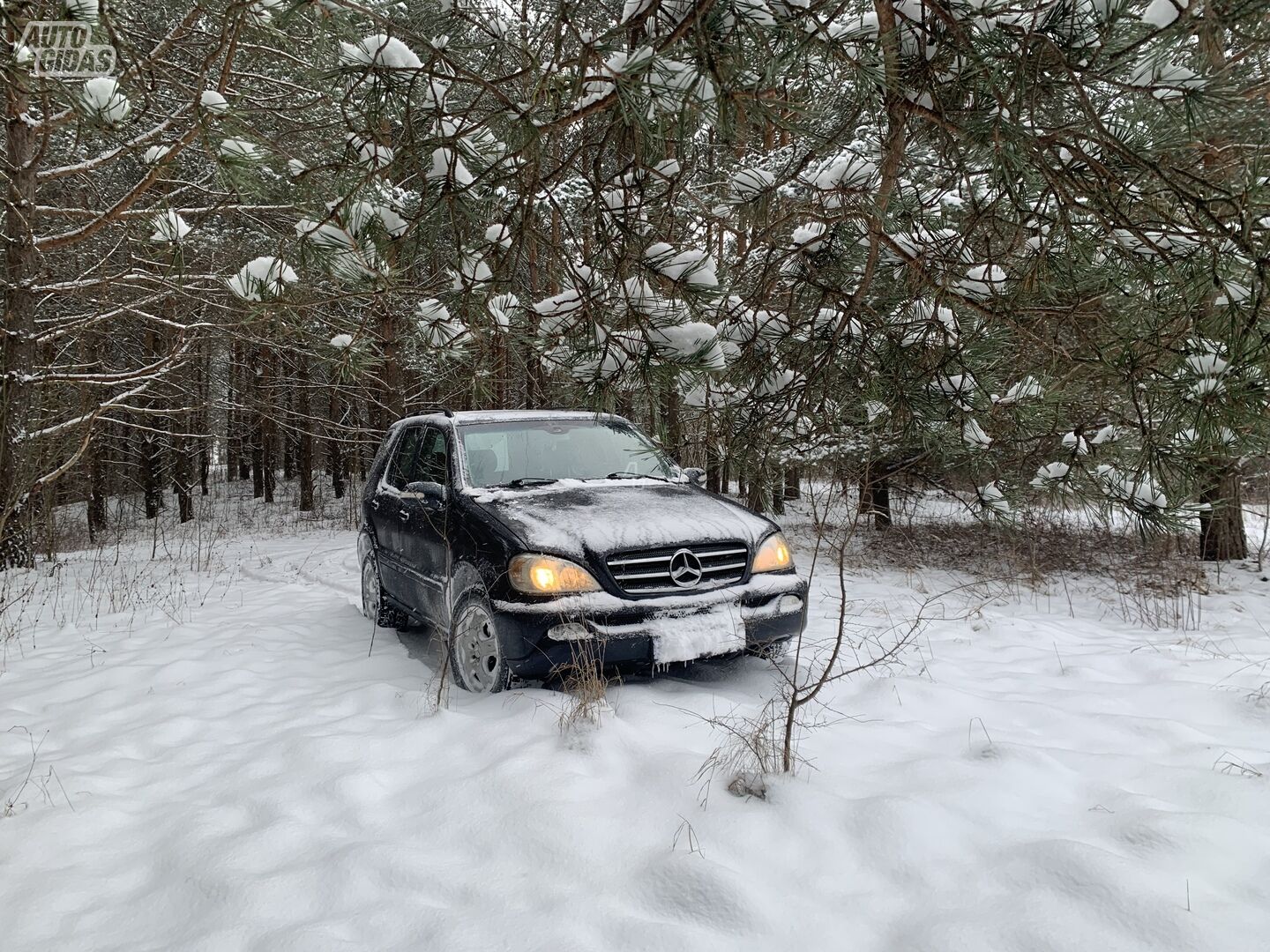 Mercedes-Benz ML 270 2003 y Off-road / Crossover