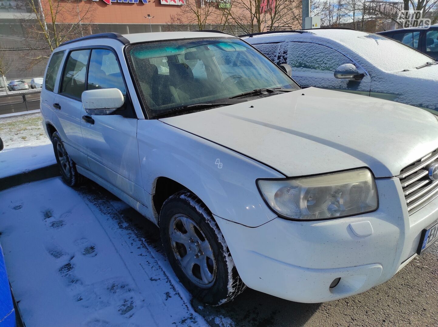 Subaru Forester 2006 г Внедорожник / Кроссовер