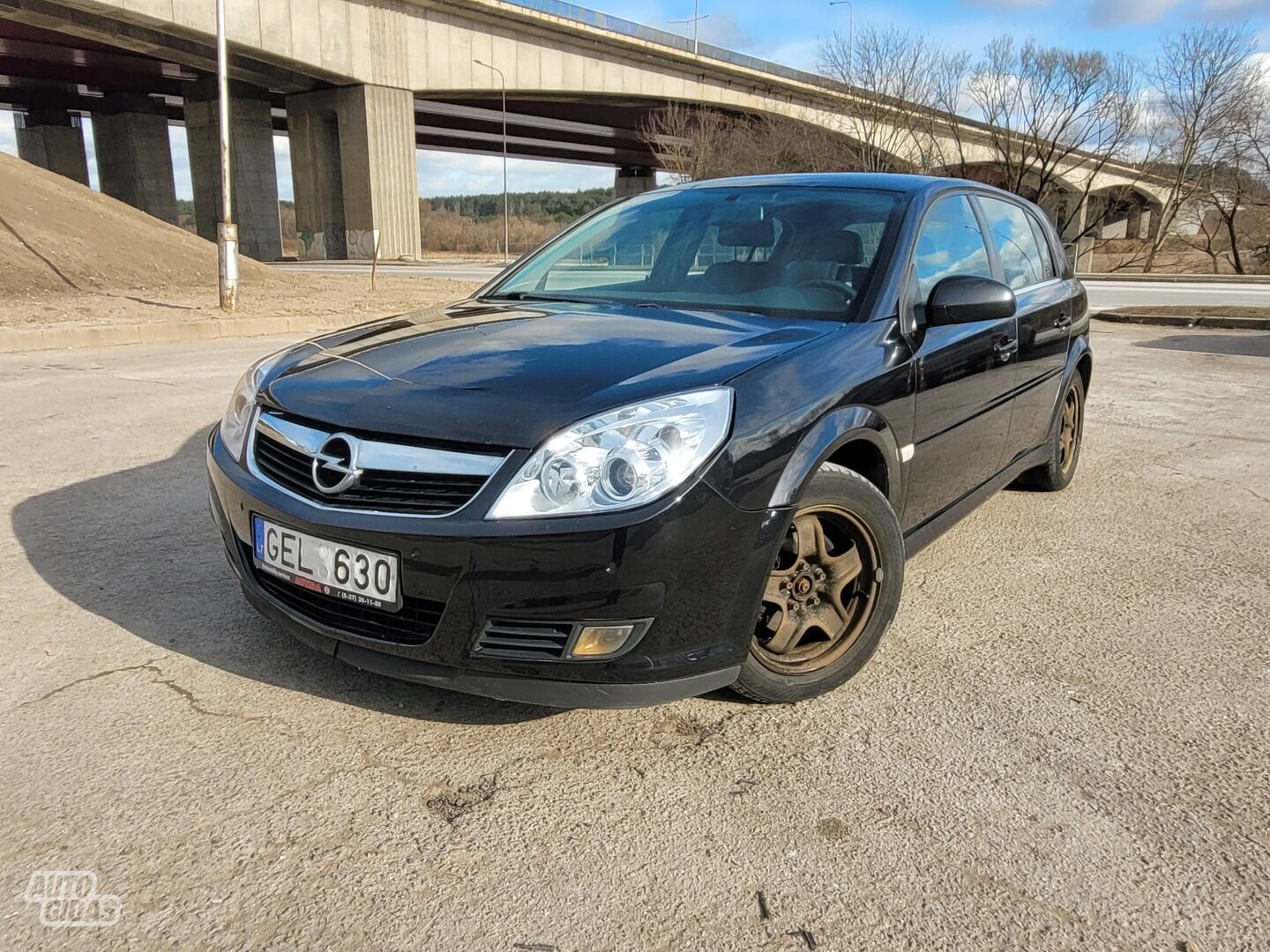 Opel Signum 2007 г Хэтчбек