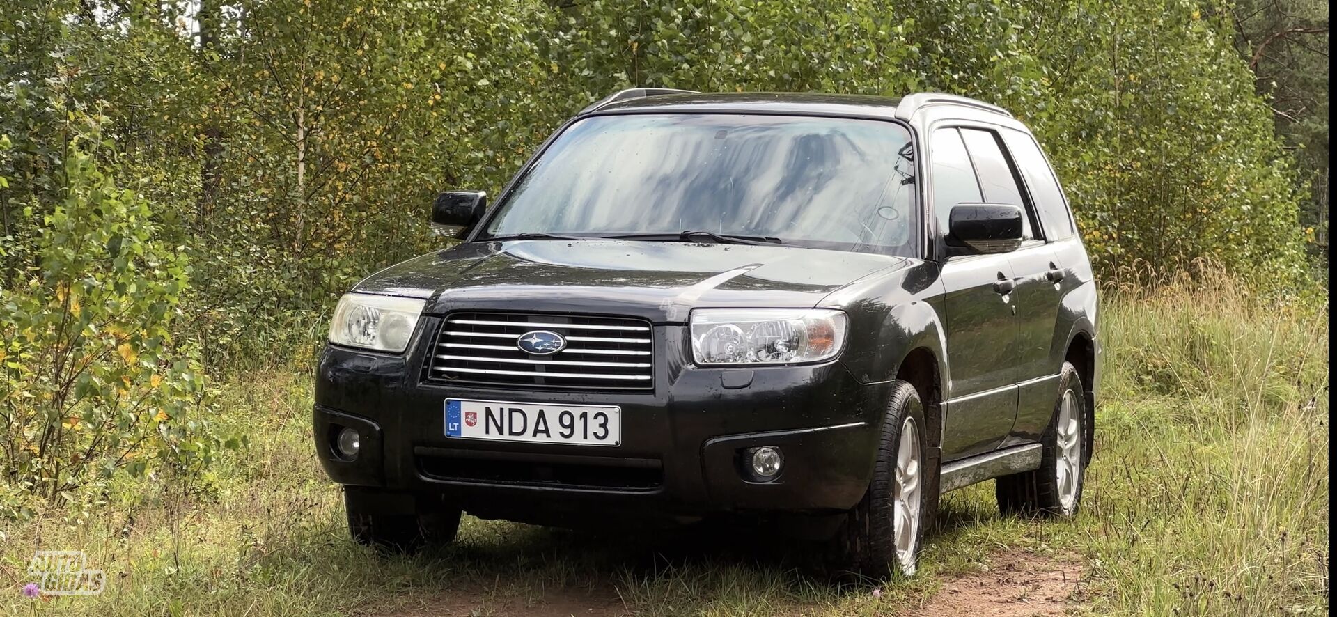 Subaru Forester 2006 г Внедорожник / Кроссовер