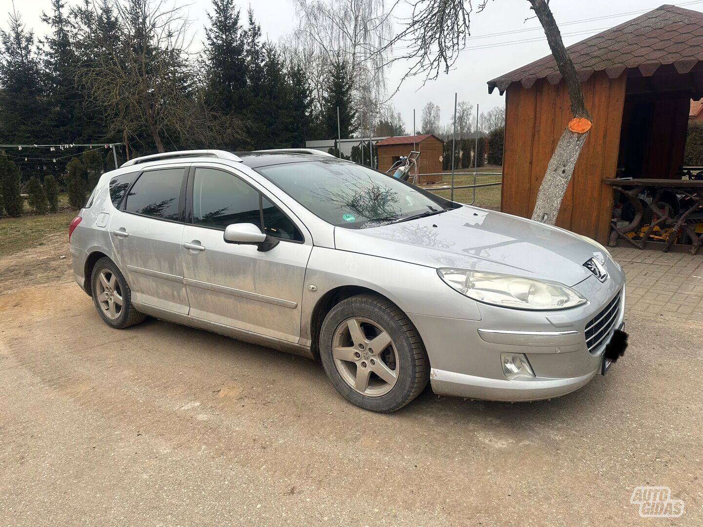 Peugeot 407 2009 y Wagon