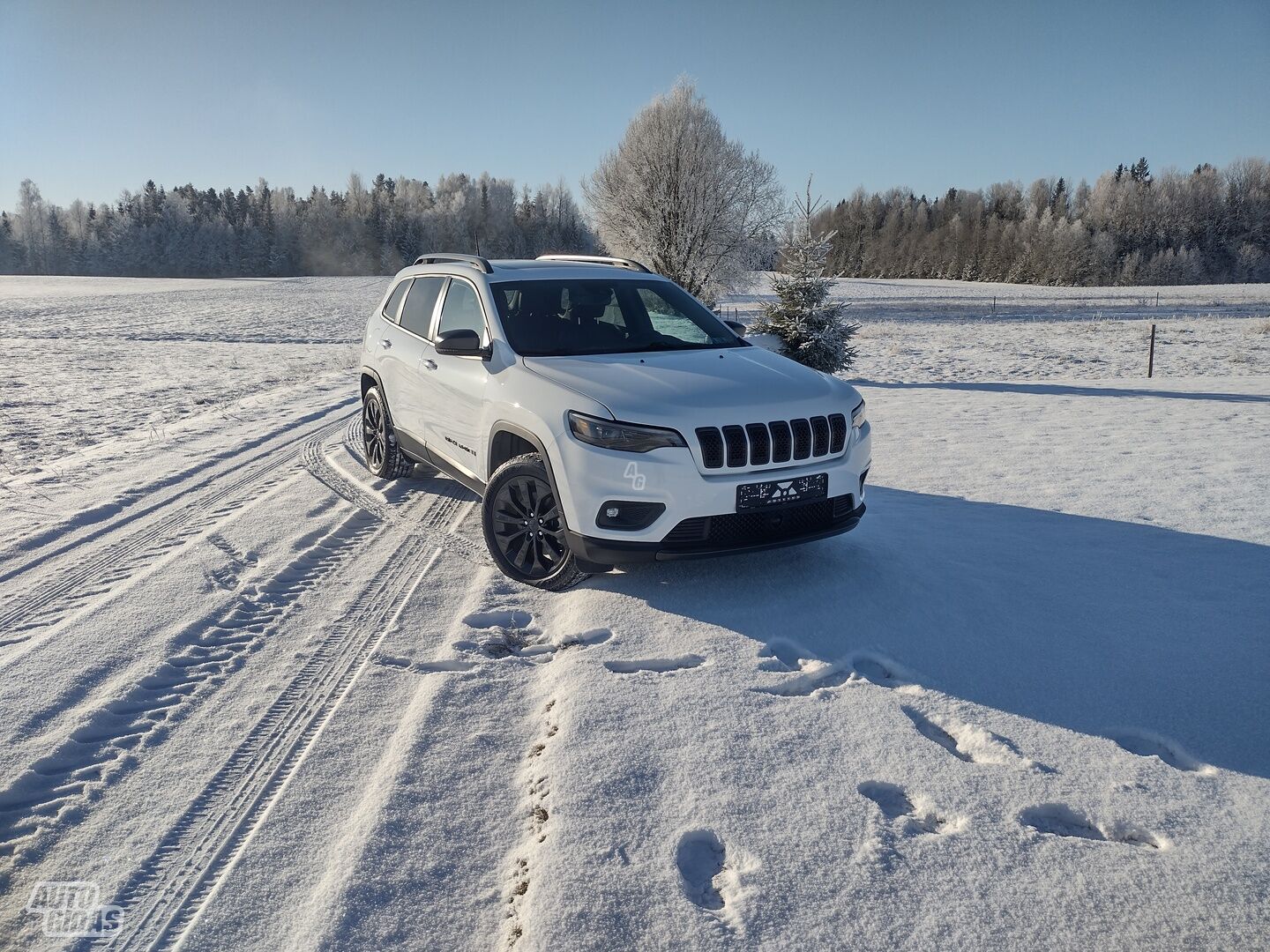 Jeep Cherokee 2021 m Visureigis / Krosoveris