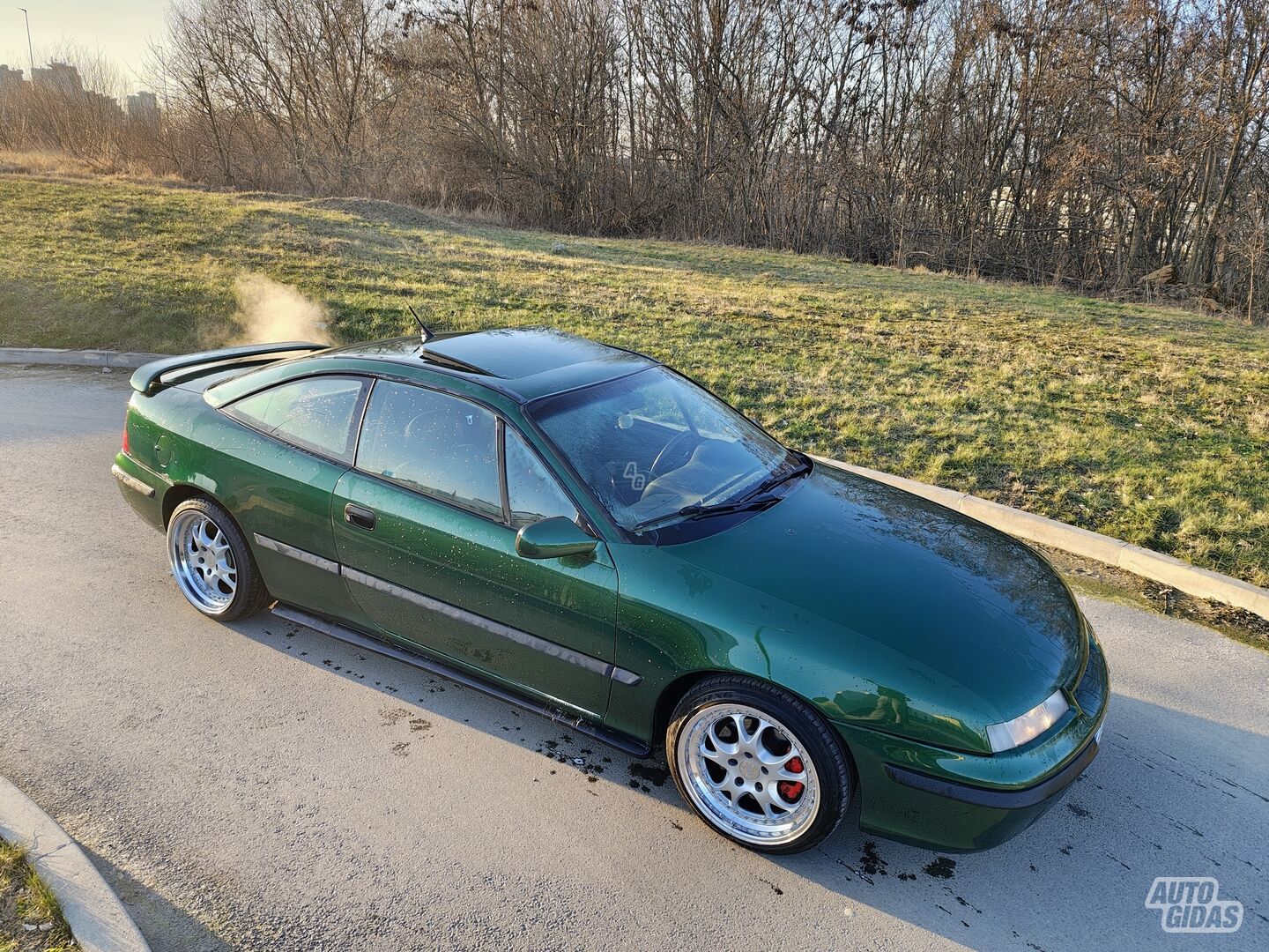 Opel Calibra 1996 y Coupe