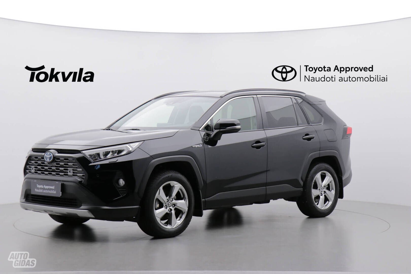 Toyota RAV4 2020 m Visureigis / Krosoveris