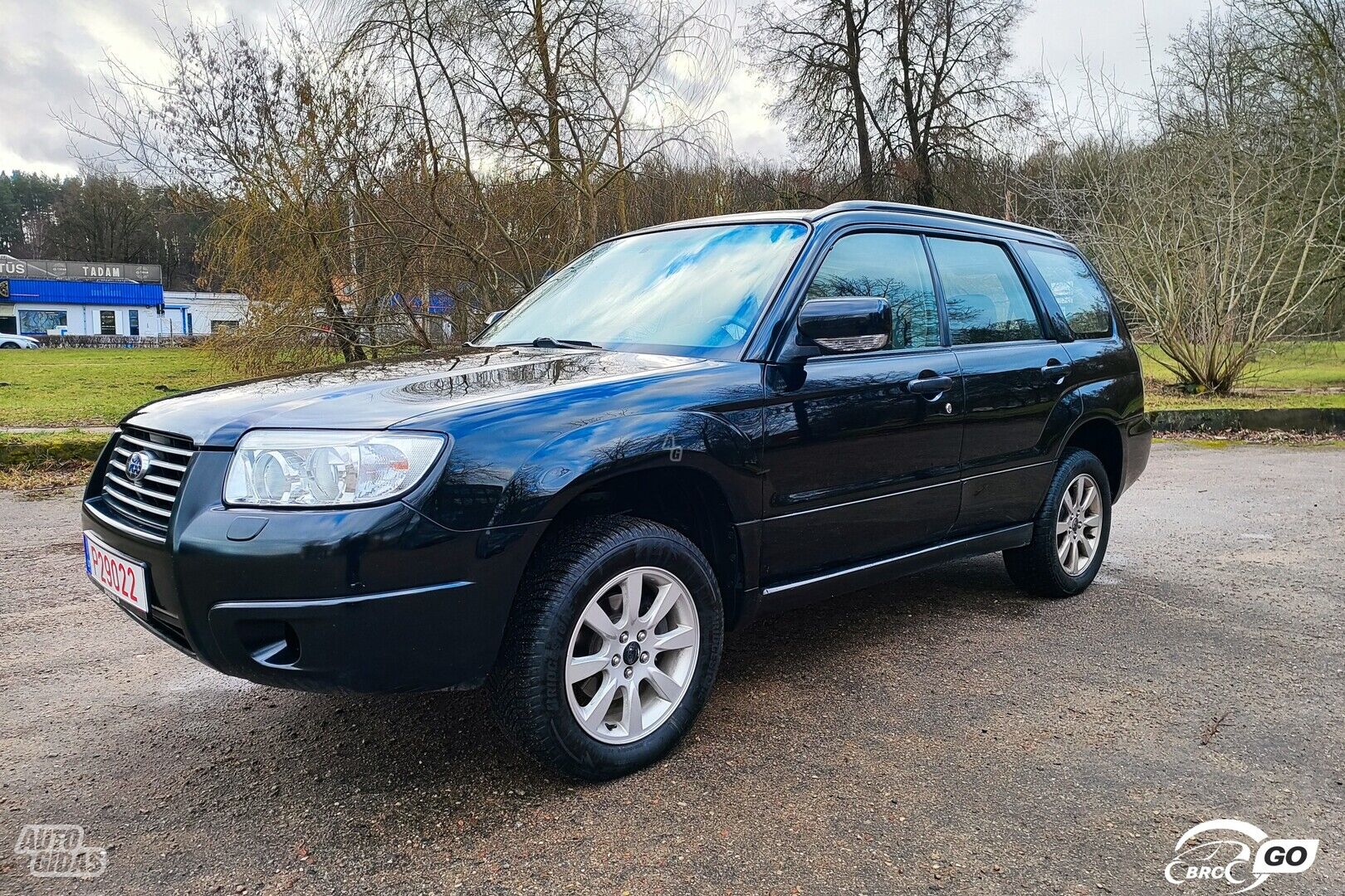 Subaru Forester 2005 y Off-road / Crossover