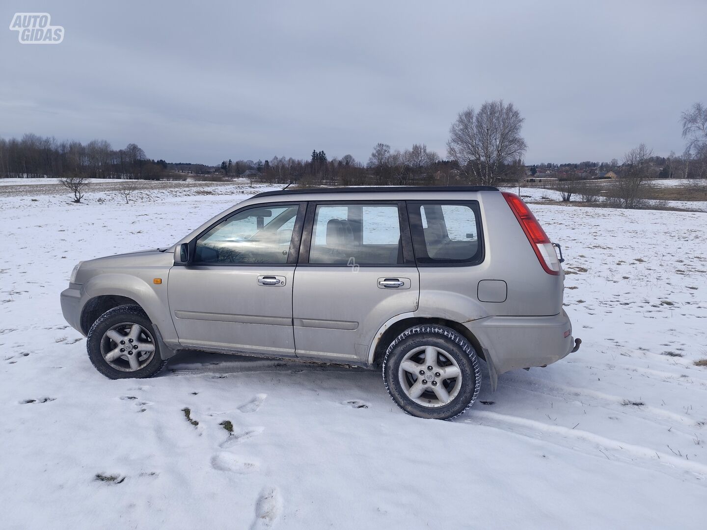 Nissan X-Trail 2001 г Внедорожник / Кроссовер