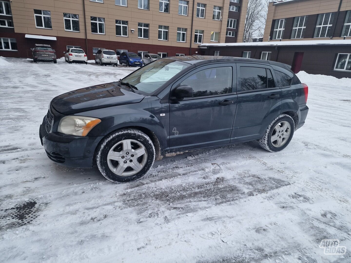 Dodge Caliber 2007 m Visureigis / Krosoveris