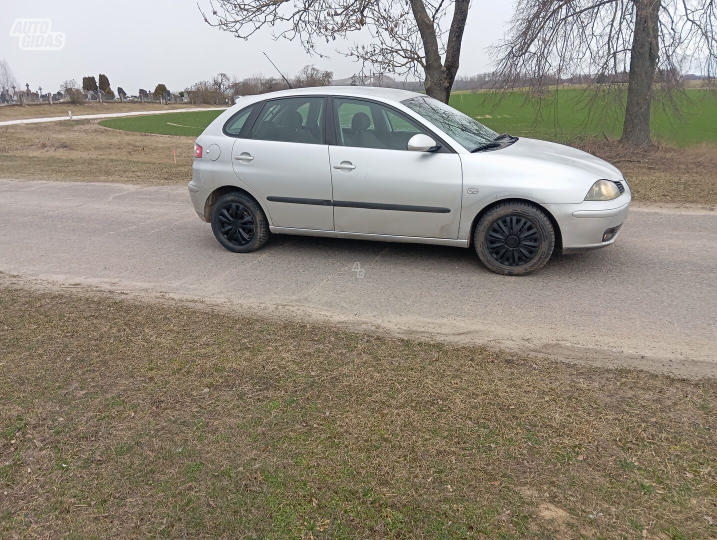 Seat Ibiza 2004 m Hečbekas