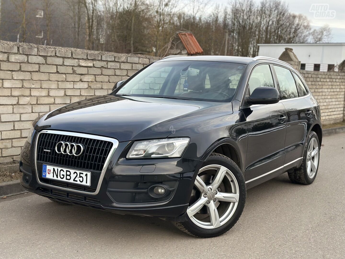 Audi Q5 2009 m Visureigis / Krosoveris