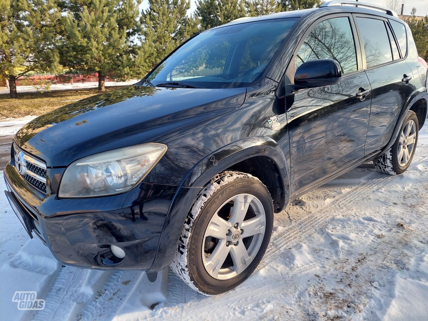 Toyota RAV4 2009 m Visureigis / Krosoveris