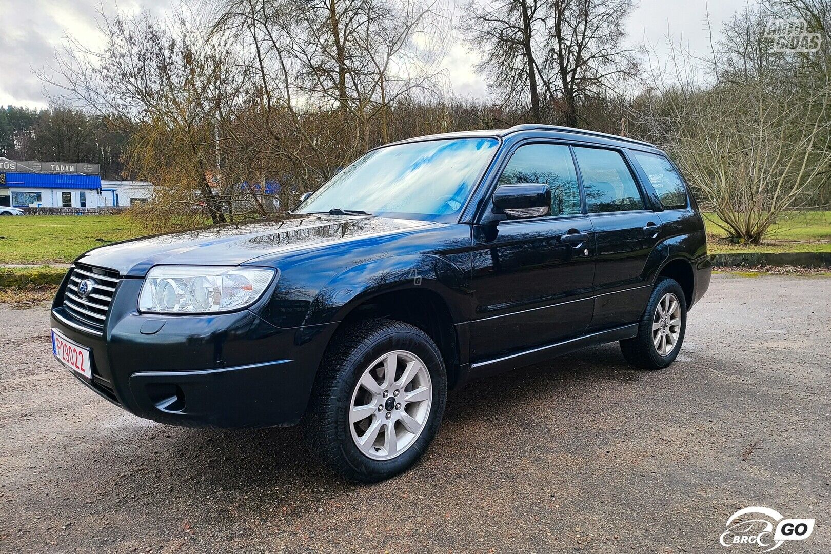 Subaru Forester 2005 m Visureigis / Krosoveris