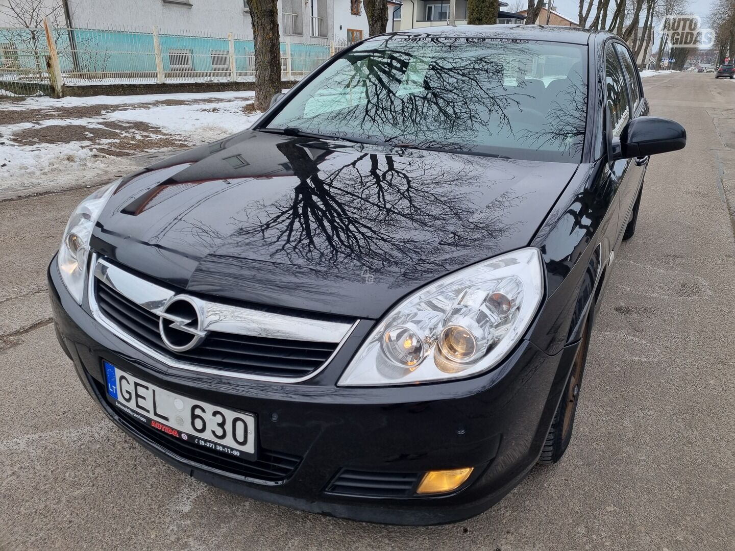 Opel Signum 2008 m Hečbekas