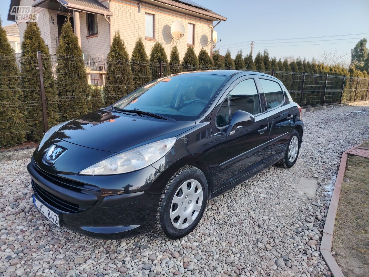 Peugeot 207 Black Series 2006 m