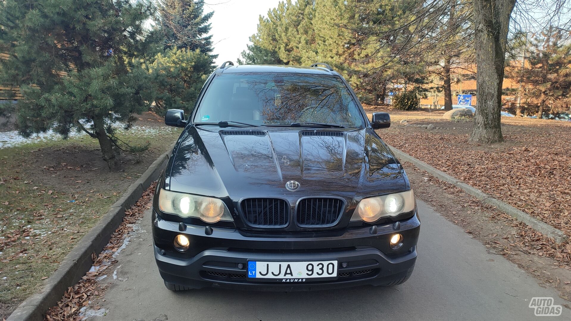 Bmw X5 2002 г Внедорожник / Кроссовер