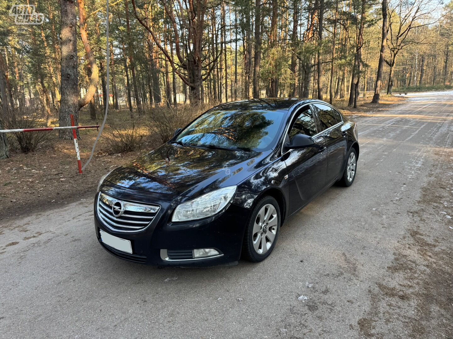 Opel Insignia 2009 y Hatchback