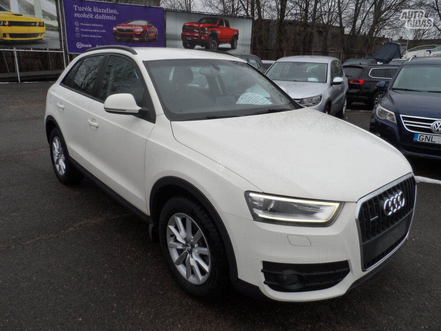 Audi Q3 2012 m Visureigis / Krosoveris