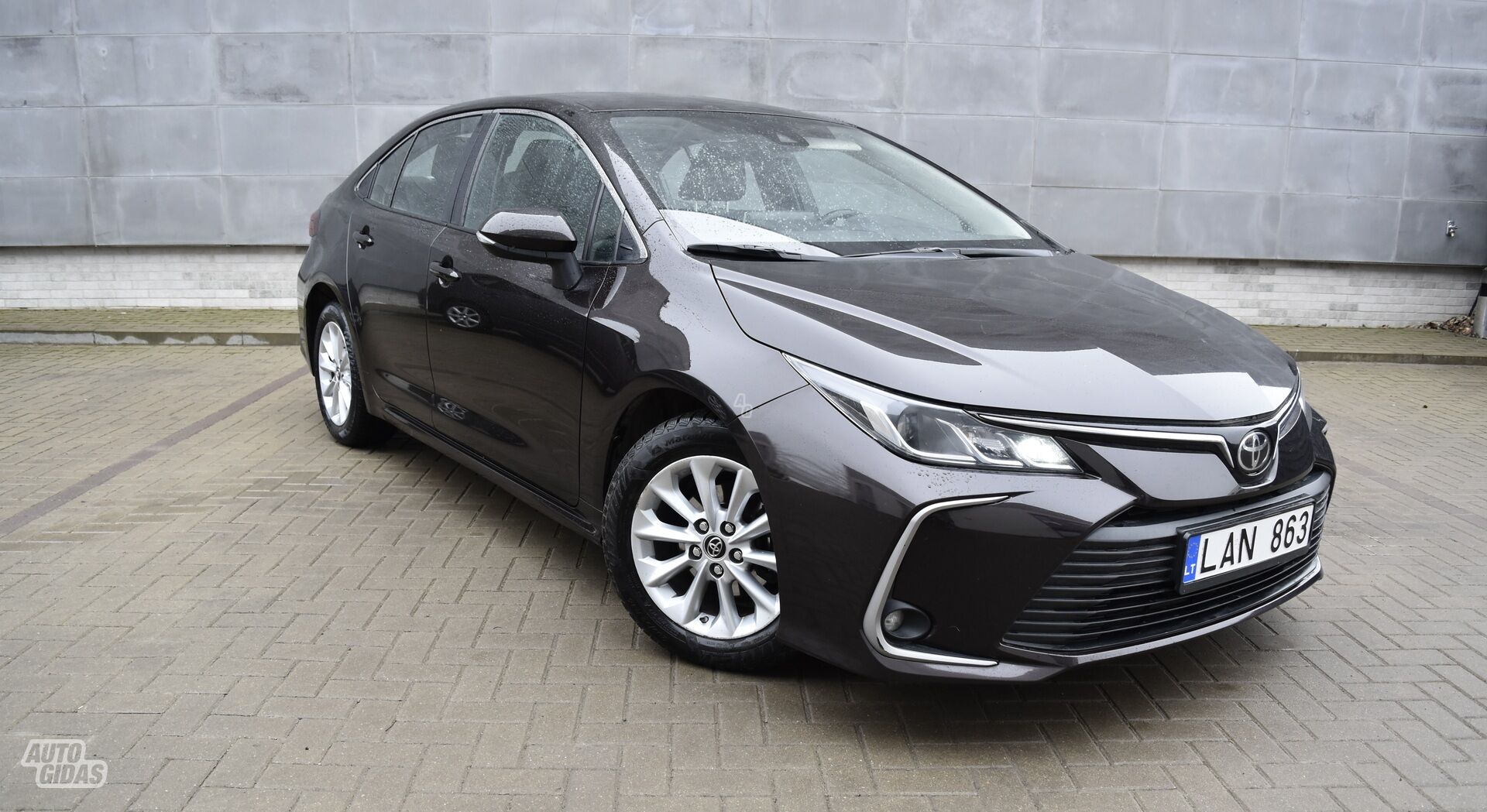 Toyota Corolla 2019 m Sedanas