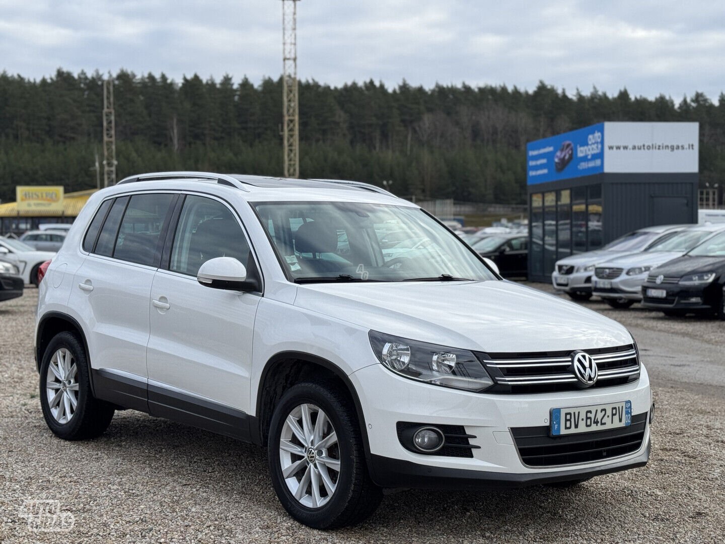 Volkswagen Tiguan 2012 г Внедорожник / Кроссовер