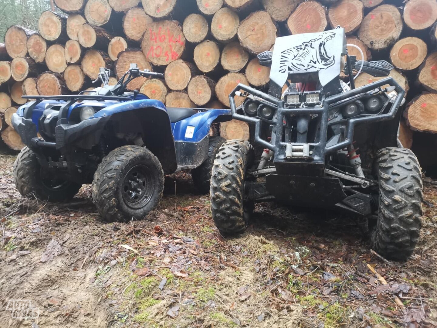 Can-Am Renegade 2009 y ATV motorcycle