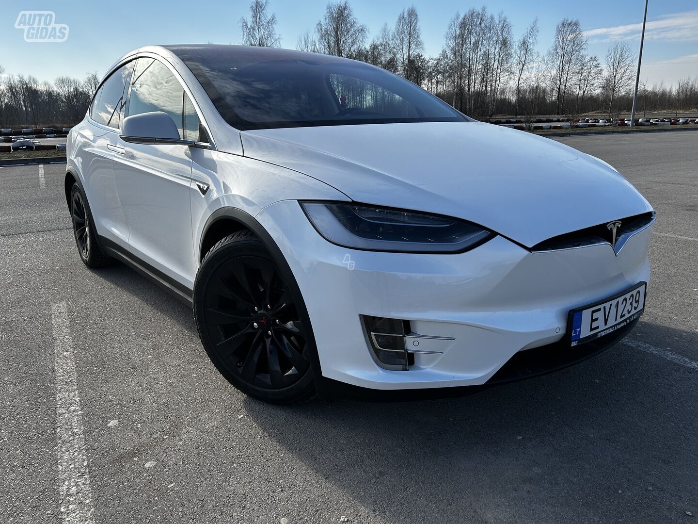 Tesla Model X 2020 y Hatchback