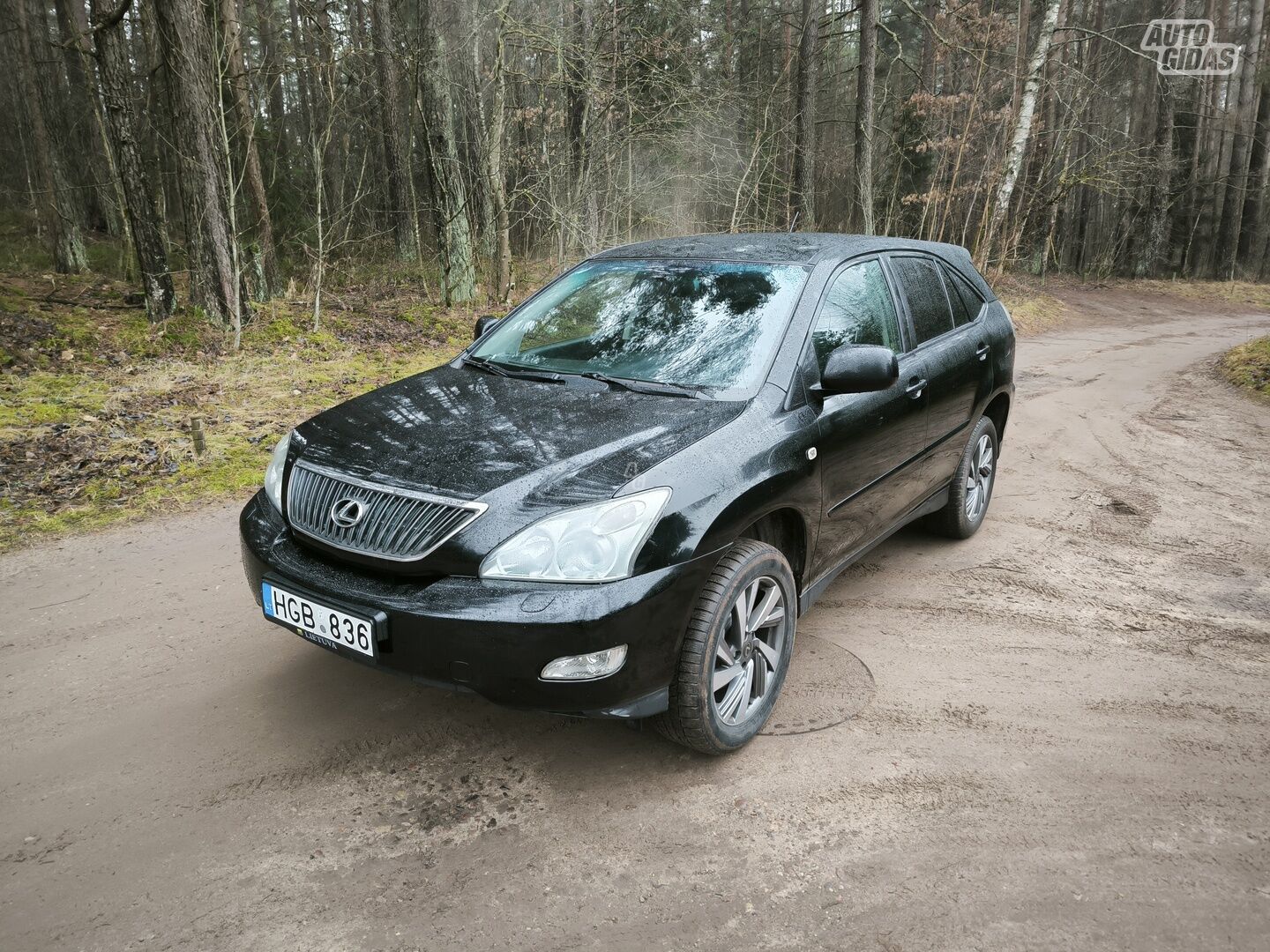 Lexus RX 300 2003 г Внедорожник / Кроссовер