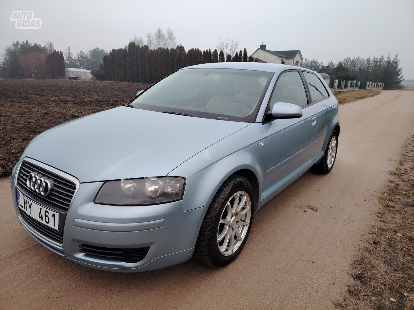 Audi A3 2006 m Hečbekas