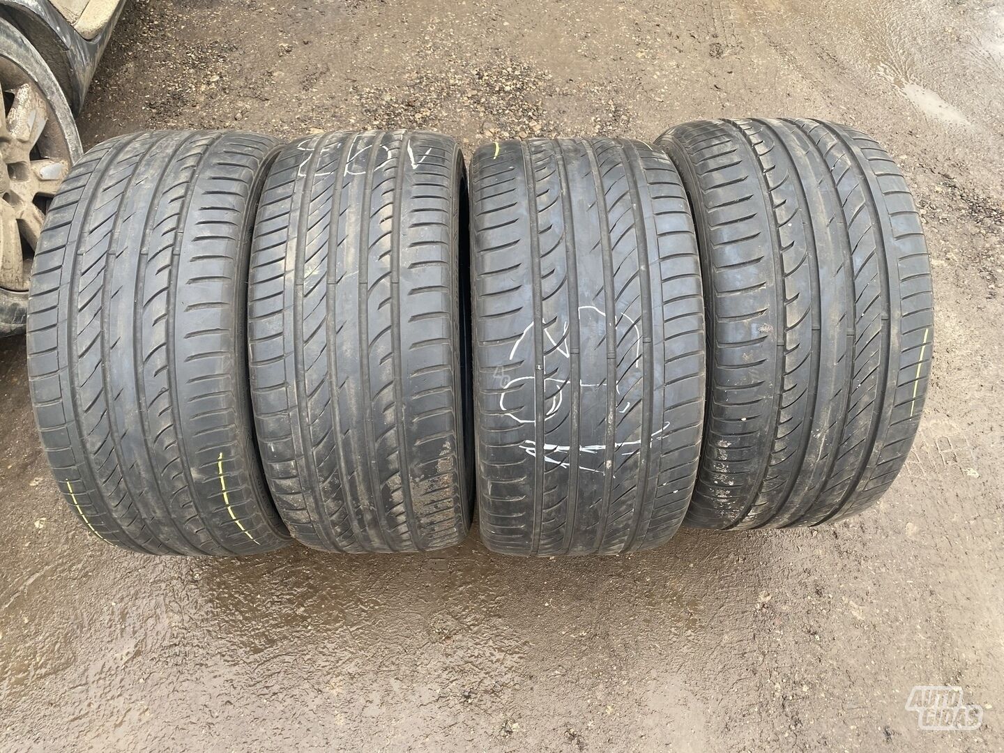 Sailun 275/40R20 315/35R20  R20 vasarinės padangos lengviesiems