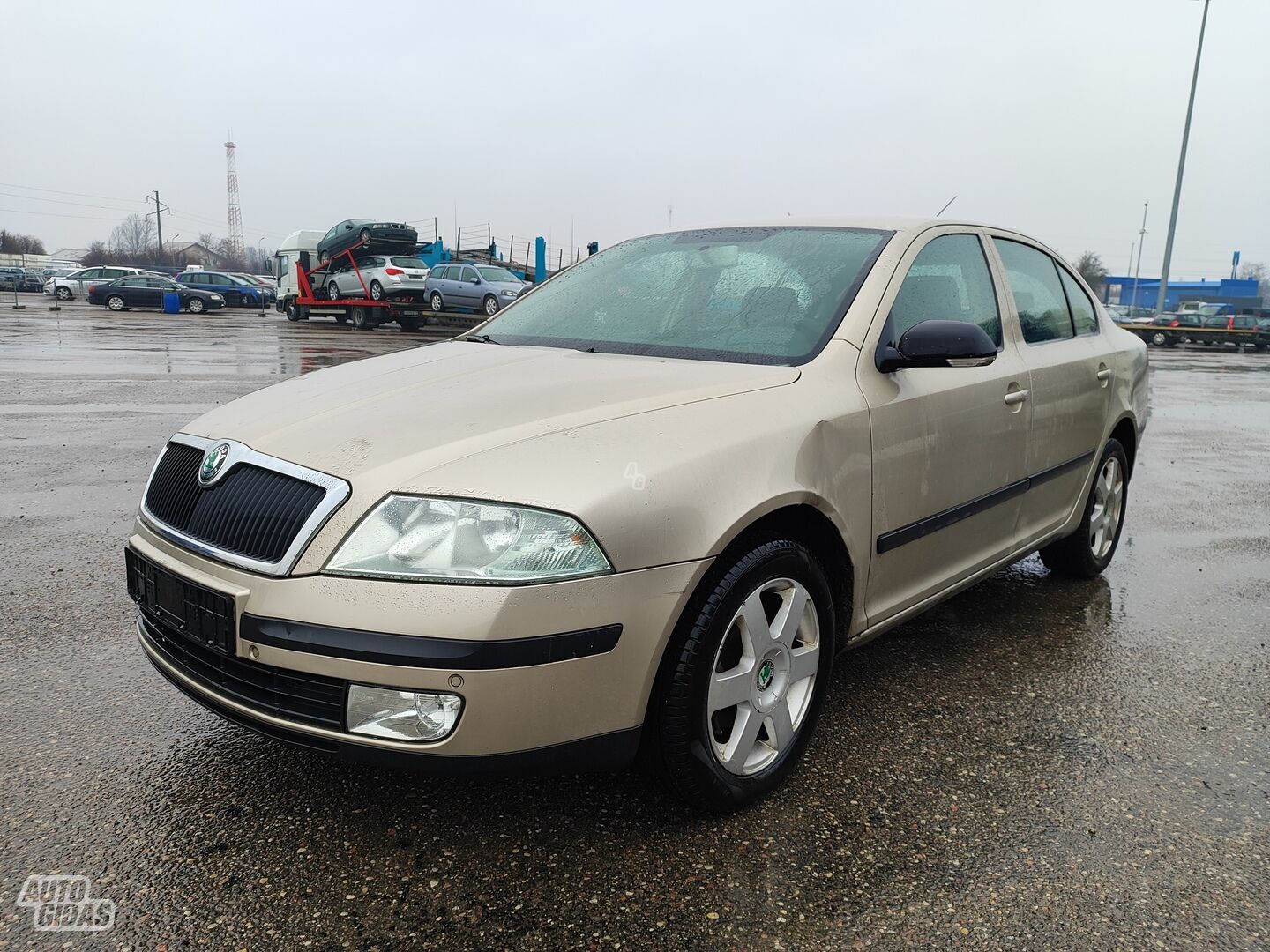 Skoda Octavia 2004 y Hatchback