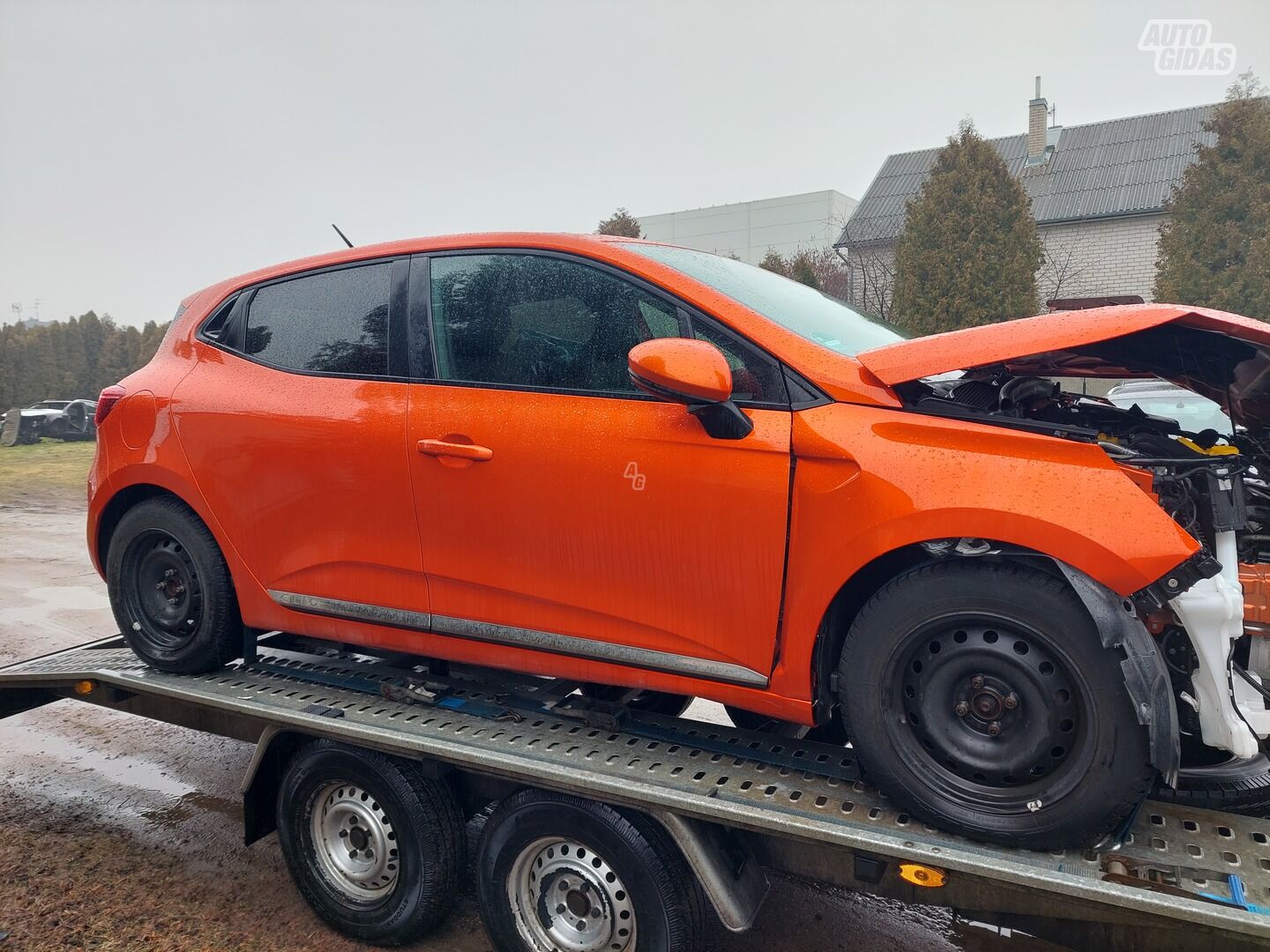 Renault Clio 2019 y Hatchback