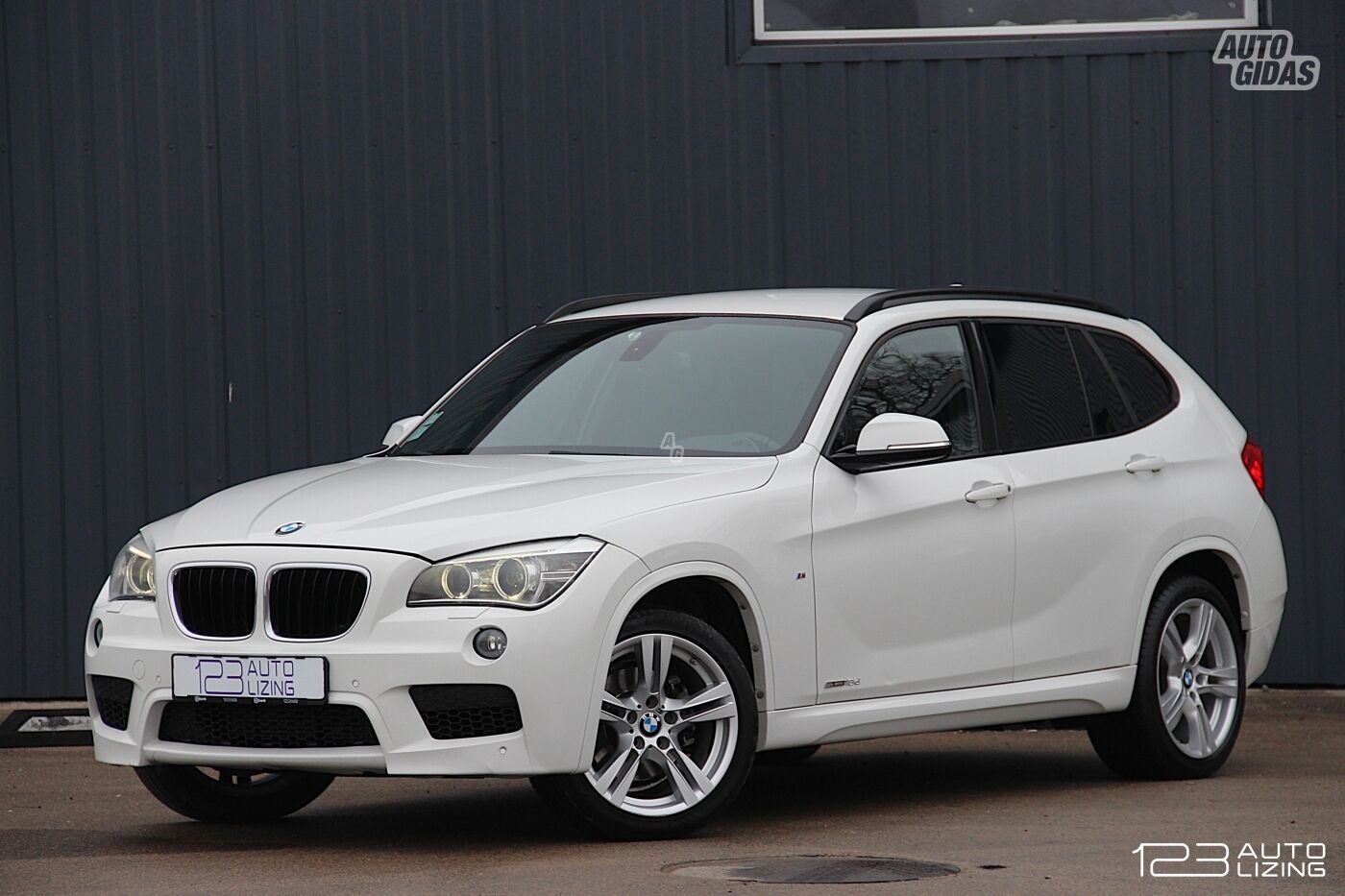 Bmw X1 2014 m Visureigis / Krosoveris