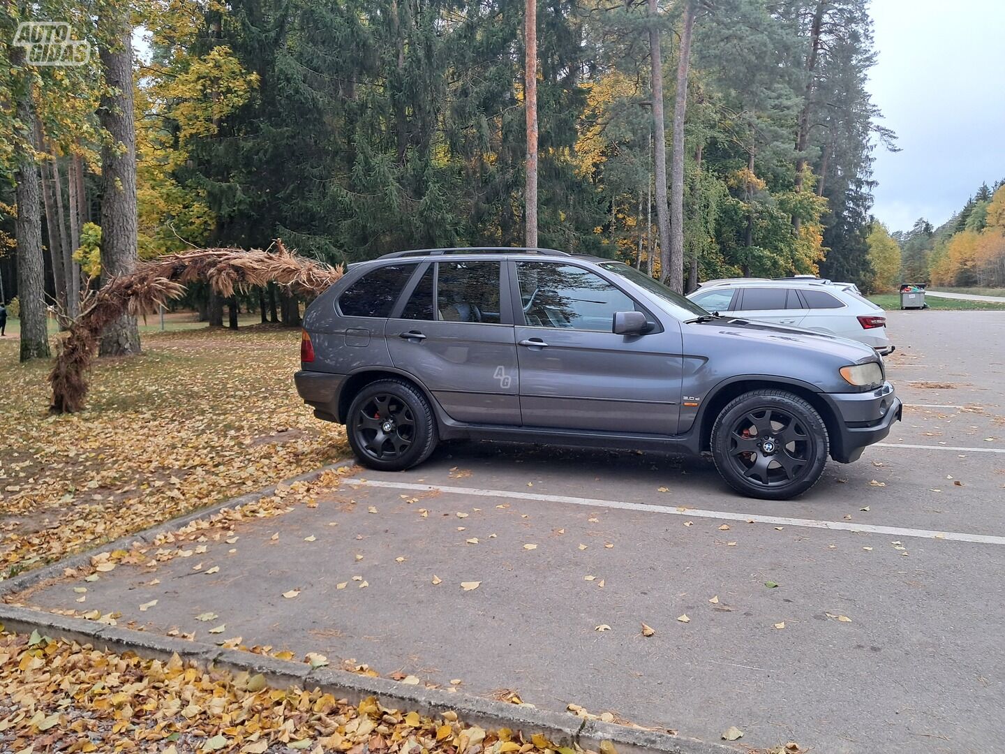 Bmw X5 2001 г Внедорожник / Кроссовер