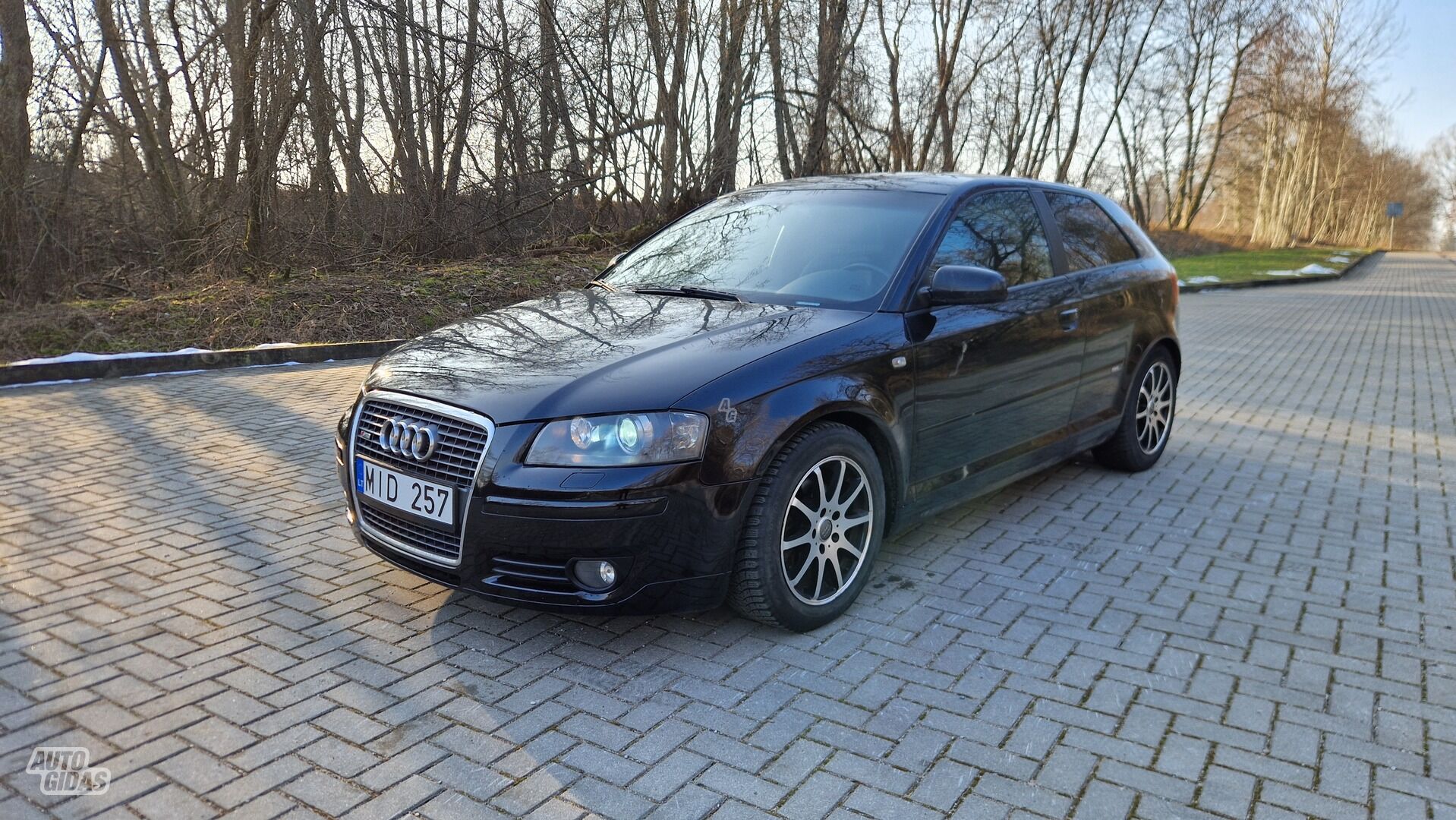 Audi A3 2006 г Хэтчбек