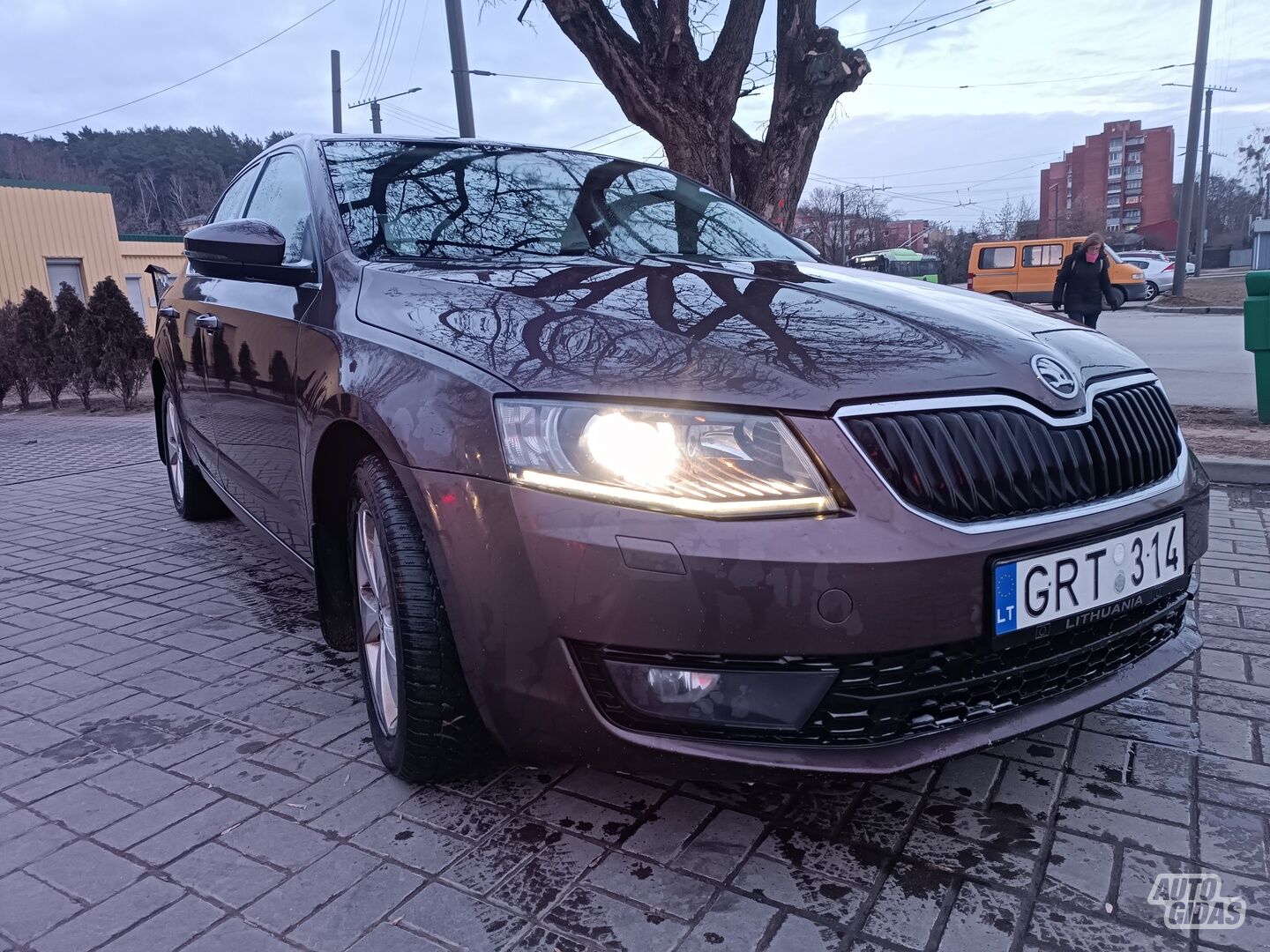 Skoda Octavia 2013 г Хэтчбек