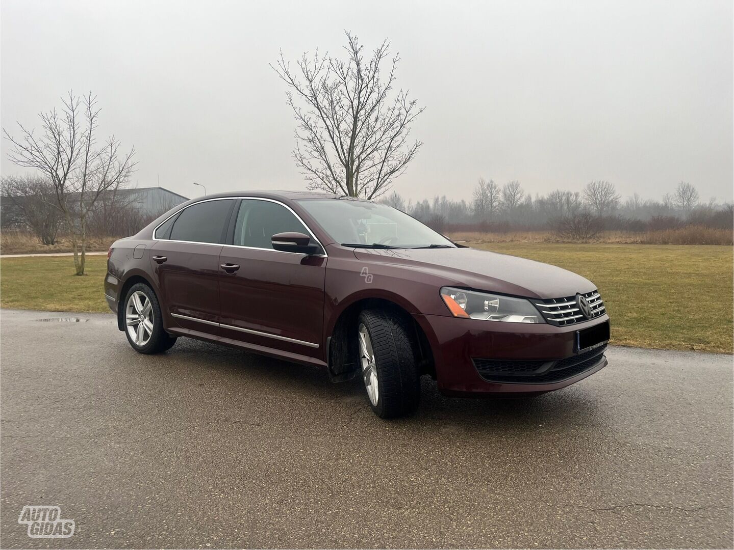 Volkswagen Passat 2013 y Sedan