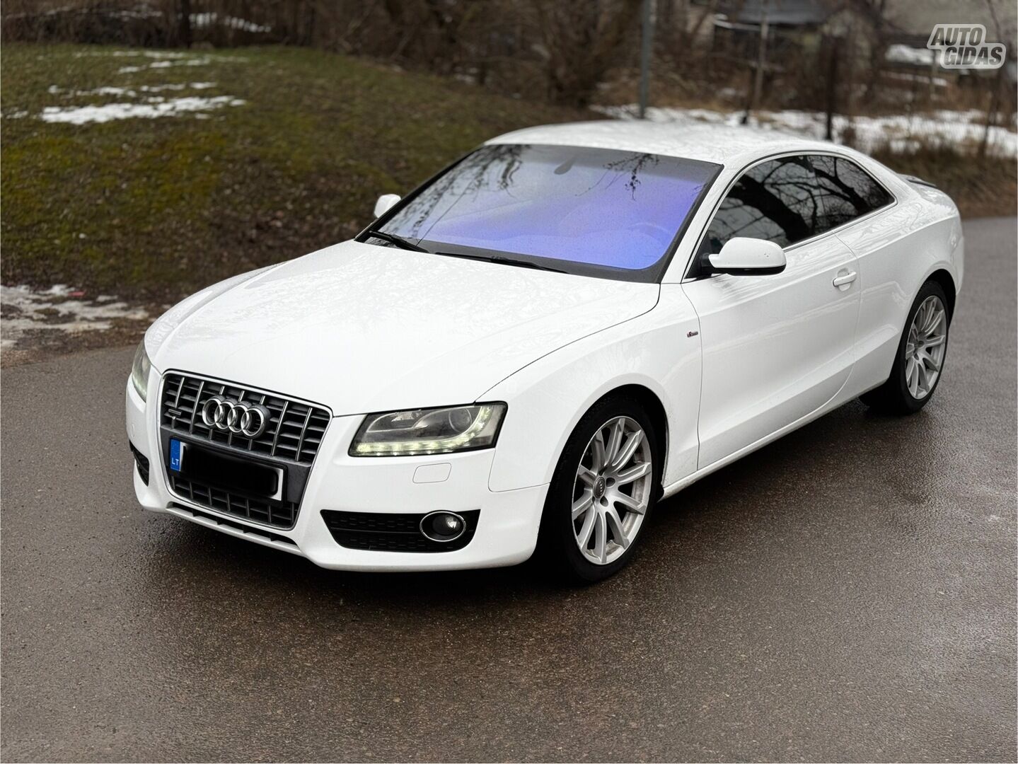 Audi A5 2010 y Hatchback