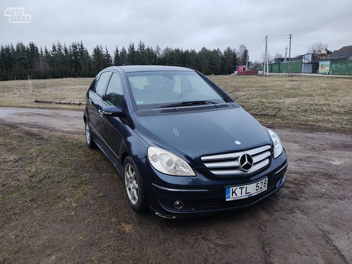 Mercedes-Benz B 200 2007 m Vienatūris