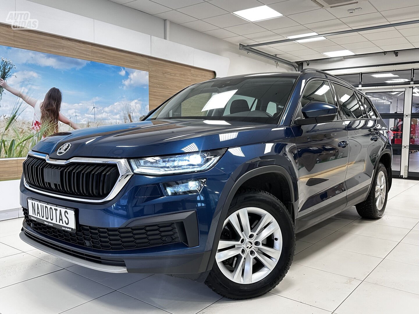 Skoda Kodiaq 2021 y Off-road / Crossover