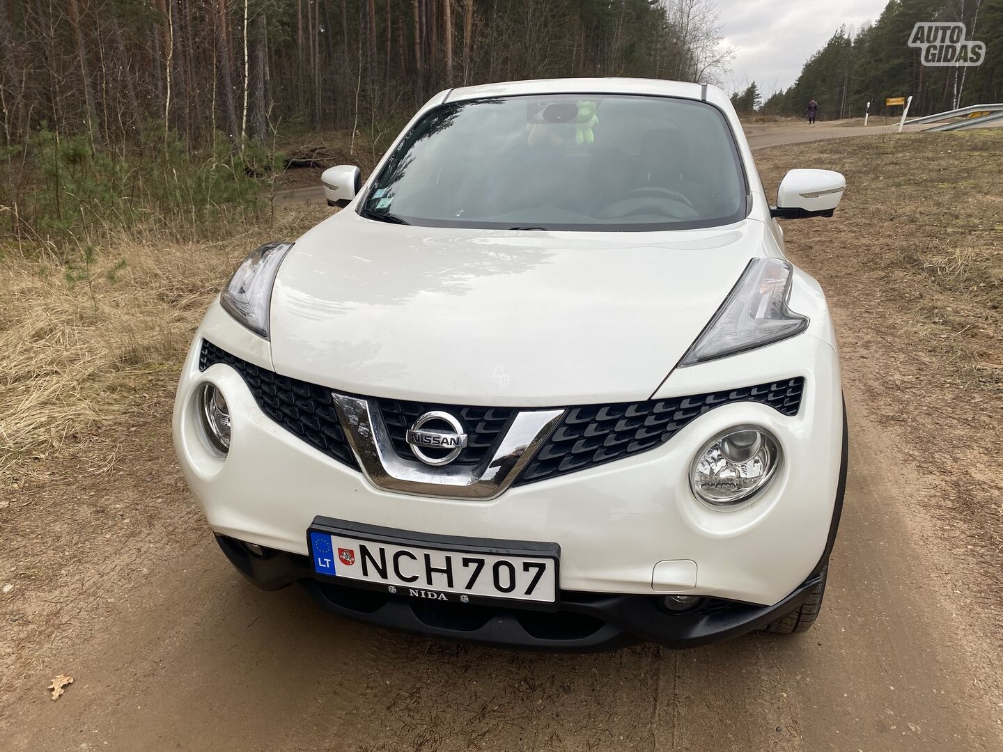 Nissan Juke 2014 m Visureigis / Krosoveris