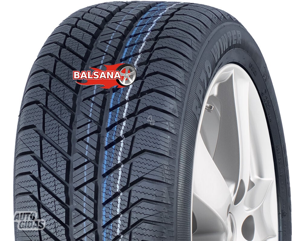 Platin Platin RP-70 Winter  R18 winter tyres passanger car