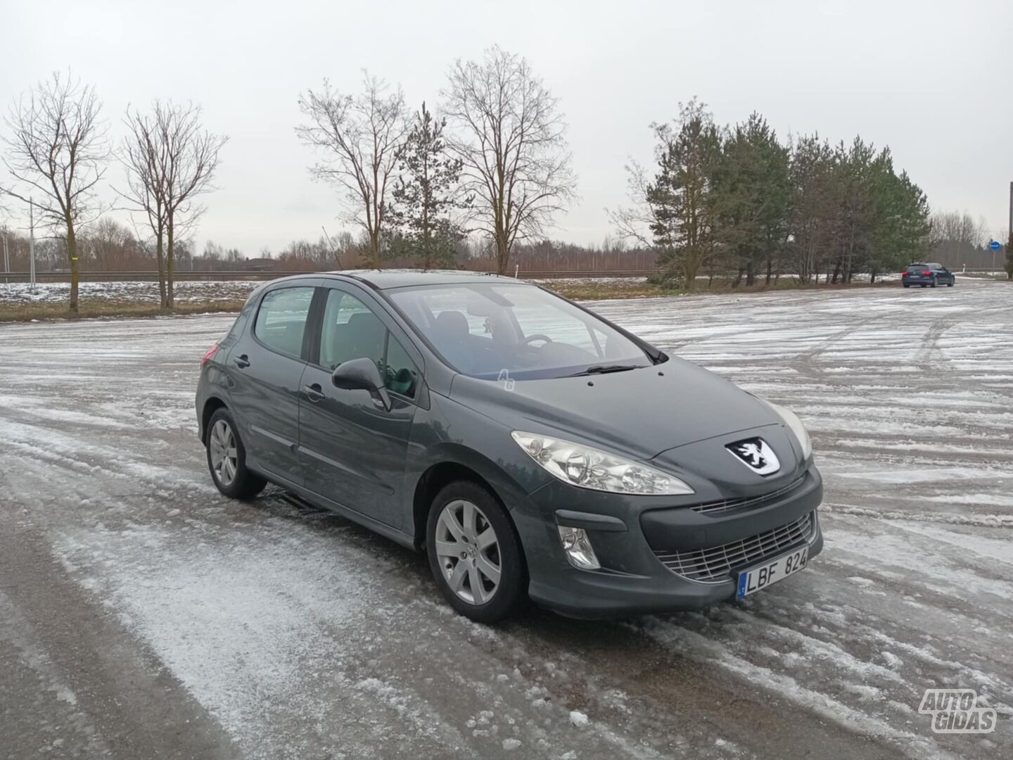 Peugeot 308 2009 m Hečbekas