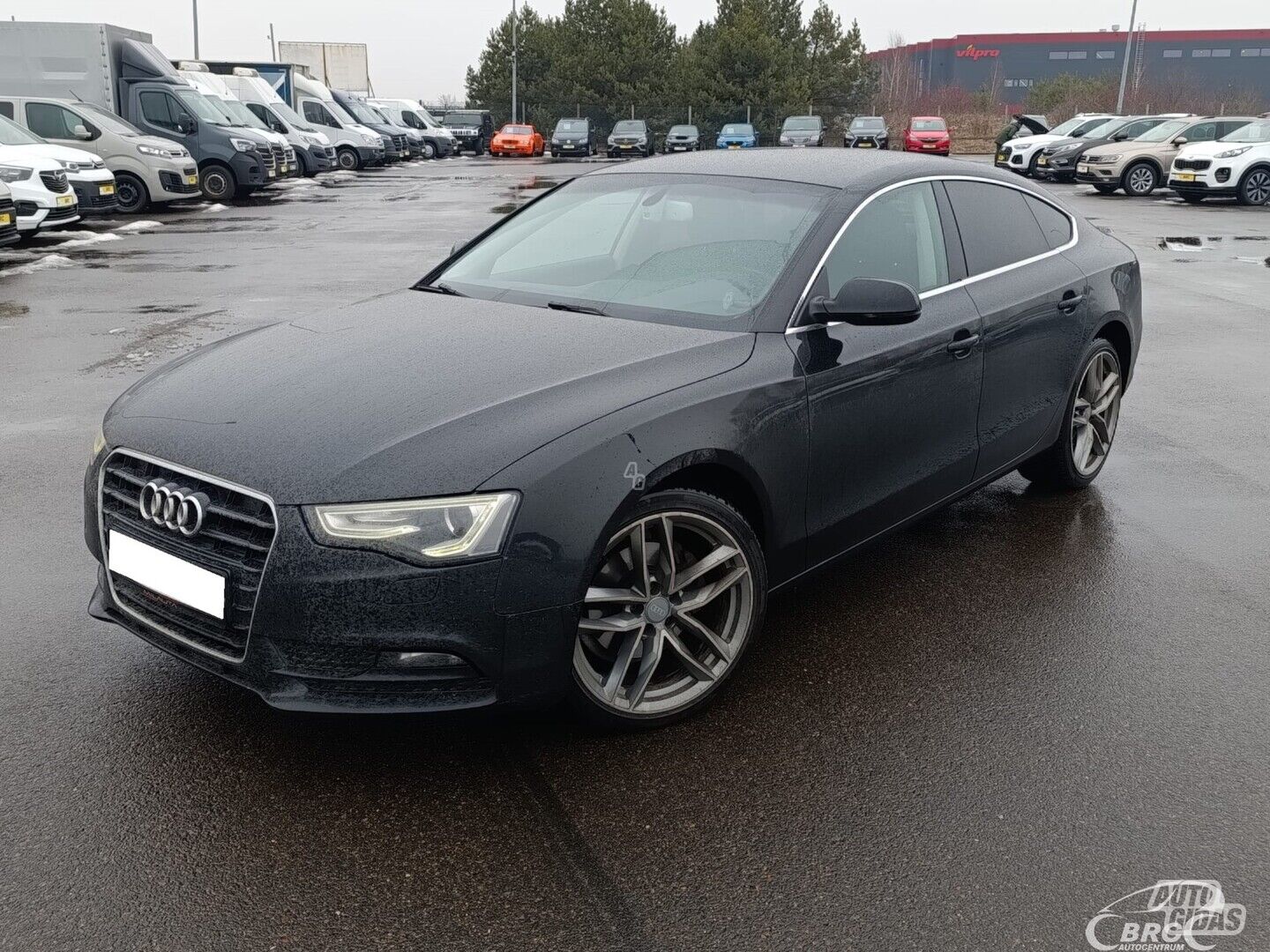 Audi A5 Sportback 2.0 TDI Automatas 2014 m