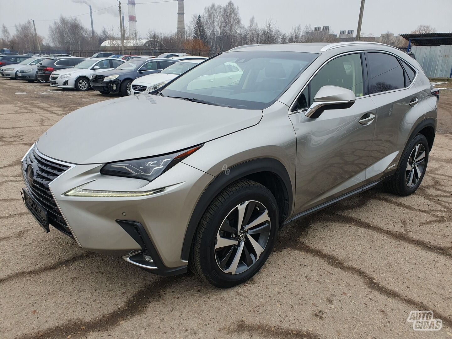 Lexus NX 300h 2018 г Внедорожник / Кроссовер