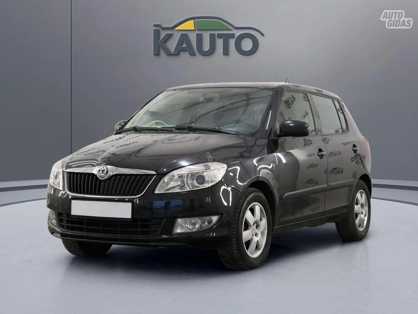 Skoda Fabia 2011 г Хэтчбек